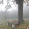 Segesvár - diákcsere képekben 