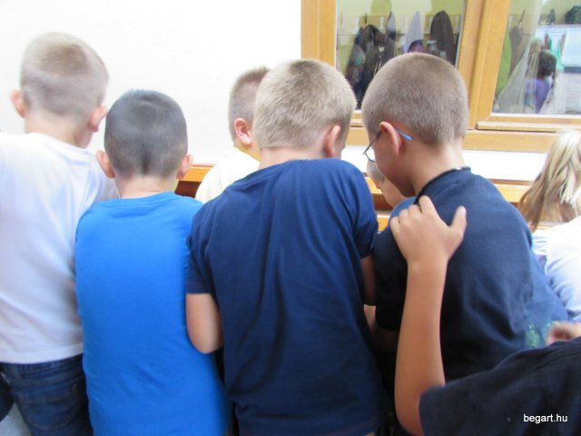 Szüreti mulatság
