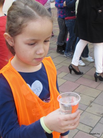 Víz világnapja
