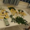 Green Citizenship