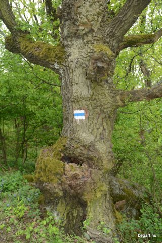 Cserháti túra
