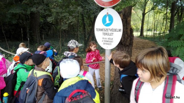 Erdei kiránduláson a 2.b osztály