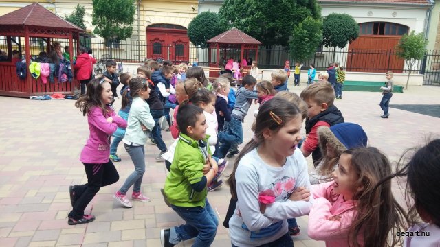 Madarak és fák napja 2016.