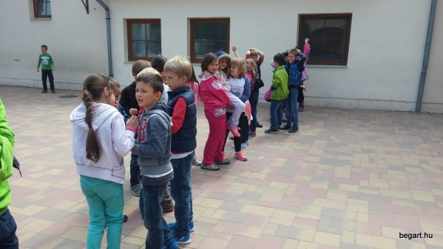 Madarak és fák napja 2016.