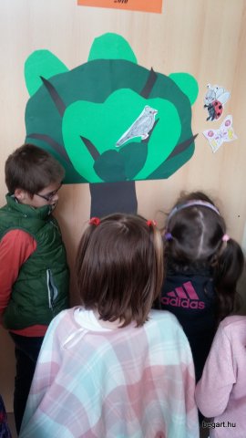 Madarak és fák napja 2016.