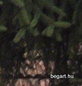 Mikulásvonat