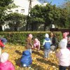 Őszi hétköznapok a Zengőerdő csoportban