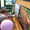 Természetfotó kiállításon