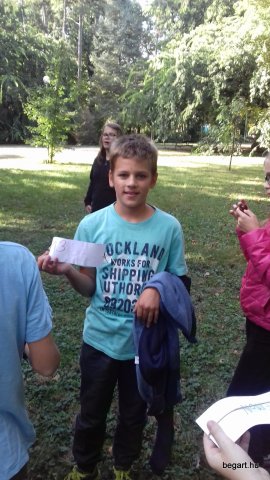 Számháború