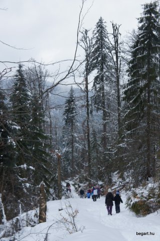 Biharfüredi szánkótúra a BEG Barangolókkal