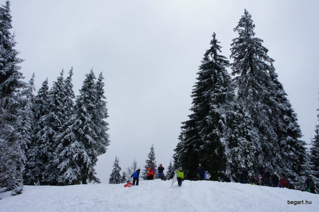Biharfüredi szánkótúra a BEG Barangolókkal