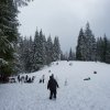 Biharfüredi szánkótúra a BEG Barangolókkal
