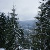 Biharfüredi szánkótúra a BEG Barangolókkal