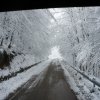 Biharfüredi szánkótúra a BEG Barangolókkal
