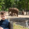 A Nyíregyházi Vadasparkban járt az 1.b osztály