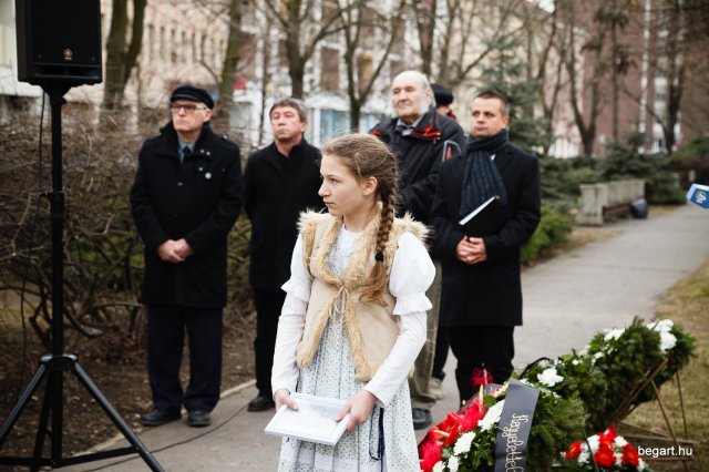 Városi Ünnepség