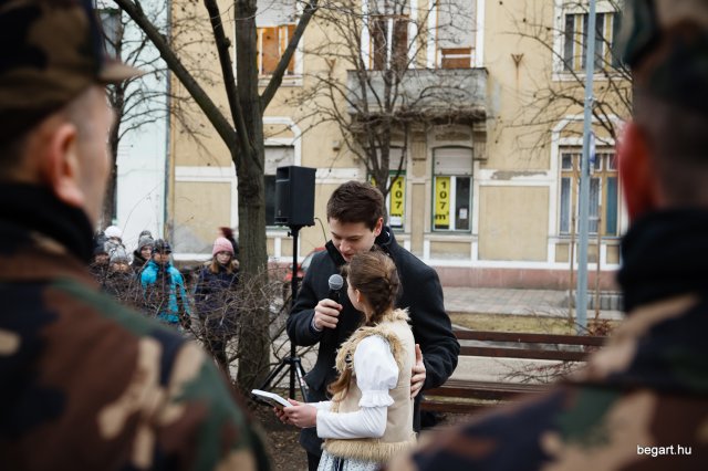 Városi Ünnepség