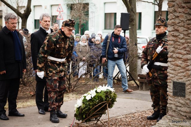 Városi Ünnepség