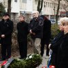 Városi Ünnepség
