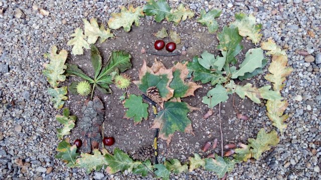 Land Art
