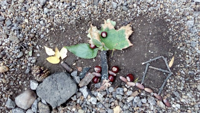 Land Art