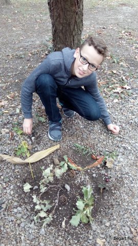Land Art