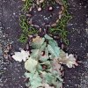 Land Art