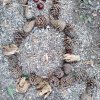Land Art