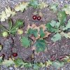 Land Art