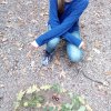 Land Art