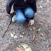 Land Art