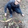 Land Art