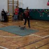 Farsangi mulatság