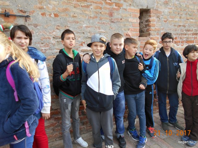 Gyulai vár