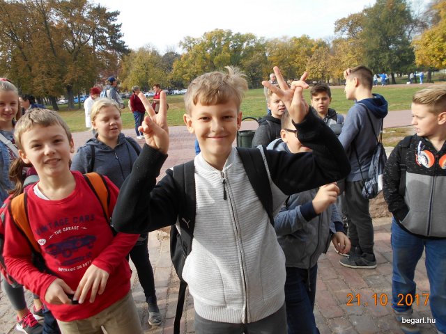Gyulai vár