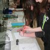 WORKSHOP I.