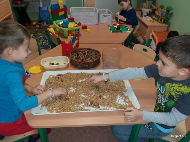 November a Csodavár csoportban