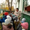 November a Csodavár csoportban