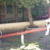 Kiscsoportosok a Meseréten