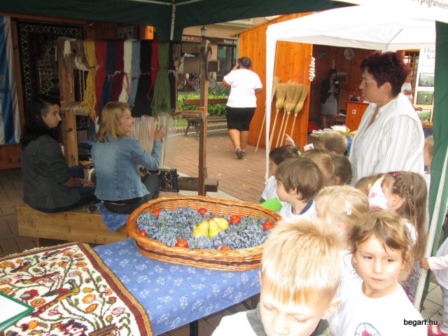 Zengőerdő sétál