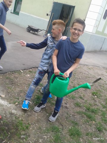 Virágültetés