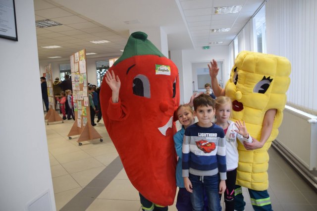 November a Zengőerdő csoportban