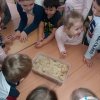 Február a Csodavár csoportban