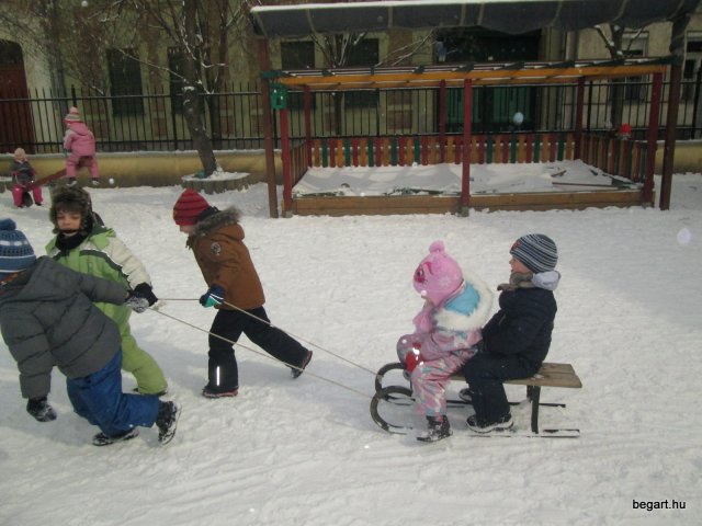 Február a Zengőerdő csoportban