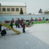 Február a Zengőerdő csoportban