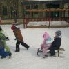 Február a Zengőerdő csoportban