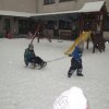 Február a Zengőerdő csoportban