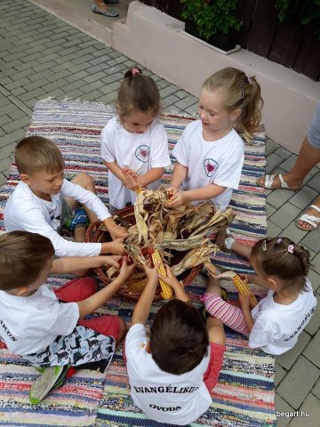 Kirándulnak a Zengőerdősök