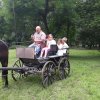 Kirándulnak a Zengőerdősök