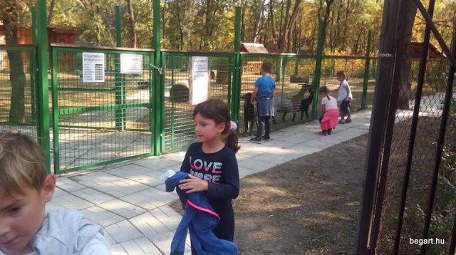 Október a nagycsoportban